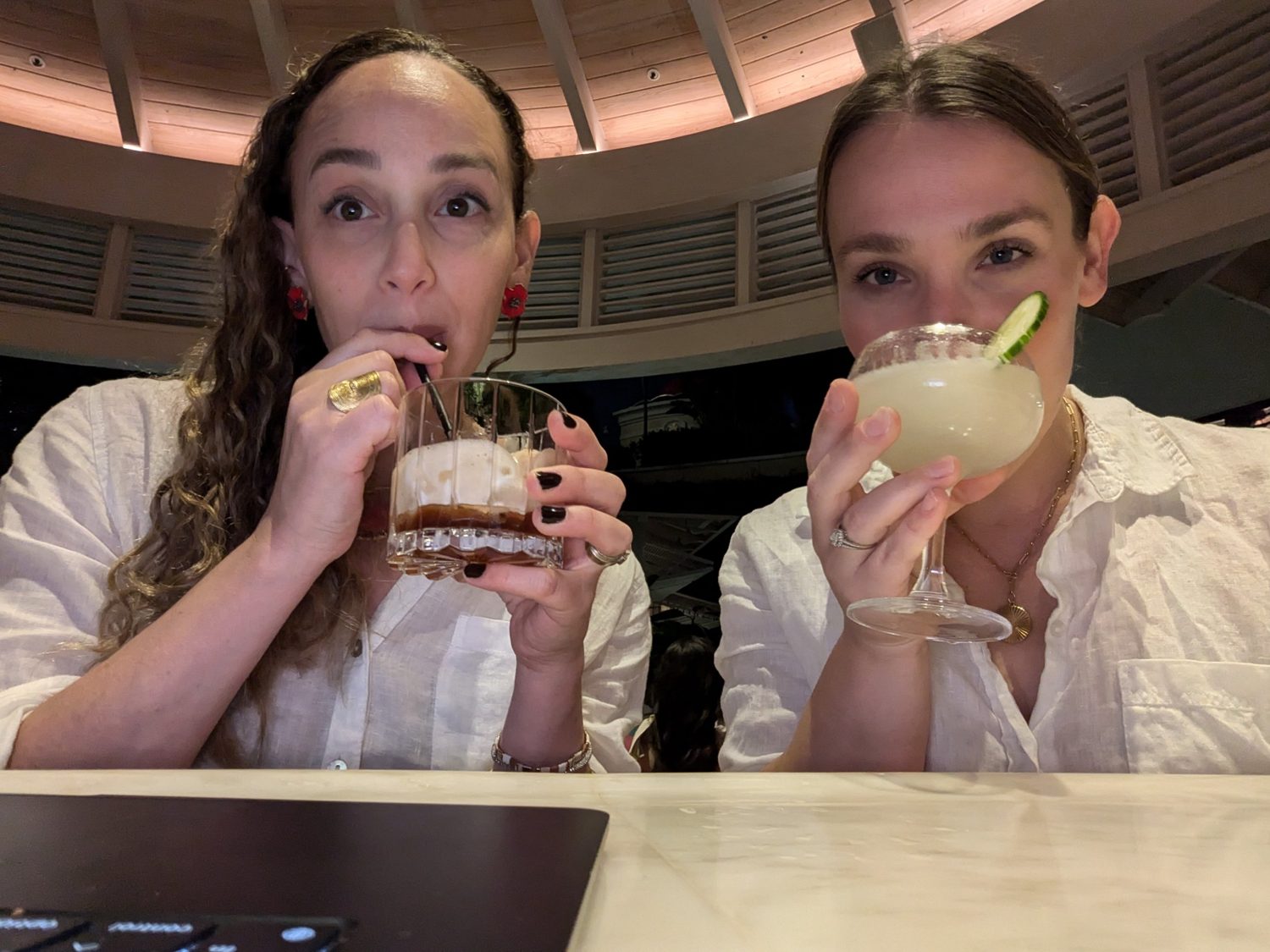 Tamar and Nalani at a working dinner with a laptop
